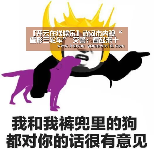 【开云在线娱乐】武汉市内现“蛋形三轮车” 交警:看起来十分欢乐(图)(图4) 开云APP下载