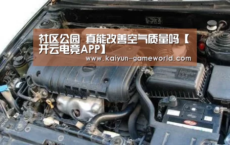 社区公园 真能改善空气质量吗【开云电竞APP】(图3) 开云APP下载