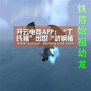 开云电竞APP:“丁氏猪”出世“武钢猪”投胎(图1) 开云体育赛事直播