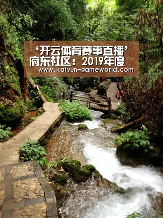 ‘开云体育赛事直播’府东社区:2019年度年终总结表彰会顺利召开(图1) 开云APP下载